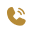 Phone Icon
